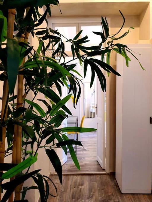 Charming House Apartamento Roma